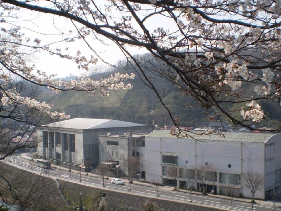 1592980986861_1032000000000_normal_title