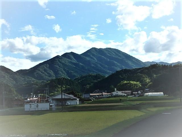 1693445669597_1034000000000_normal_title